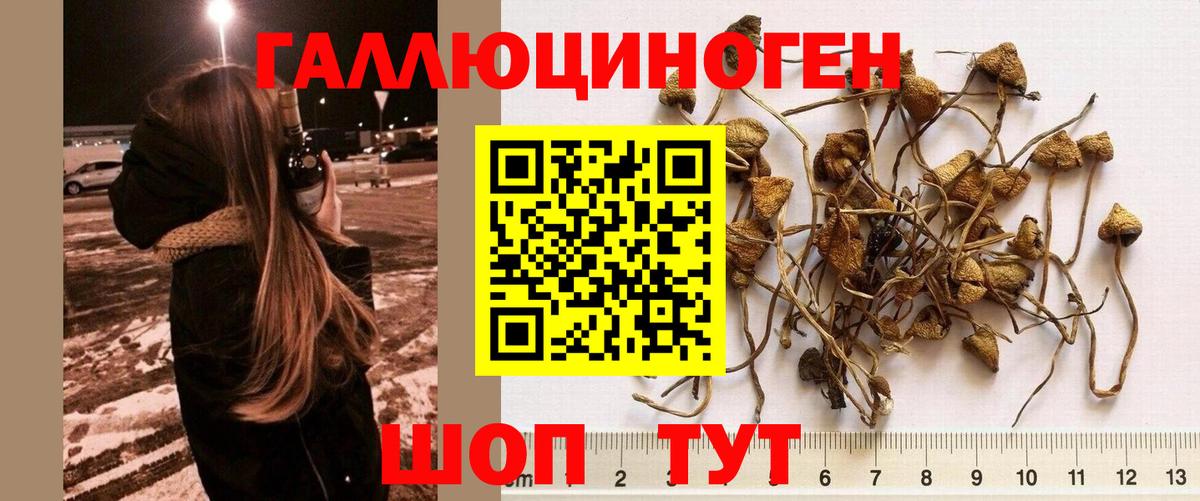 Галлюциногенные грибы Magic Shrooms  Вход с VPN  Строитель  Псилоцибиновые грибы мицелий 